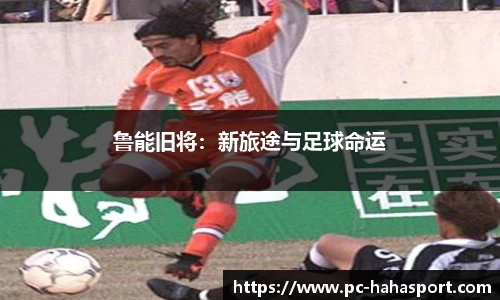 鲁能旧将：新旅途与足球命运