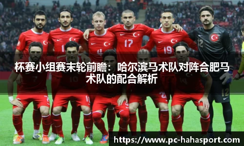 杯赛小组赛末轮前瞻：哈尔滨马术队对阵合肥马术队的配合解析